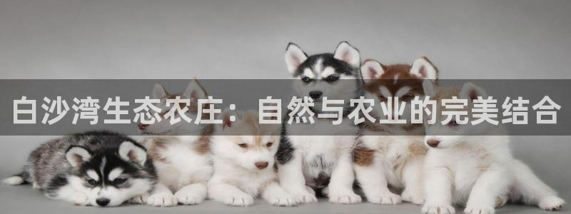 琳琅娱乐黑钱