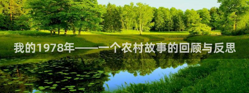 琳琅娱乐机器人
