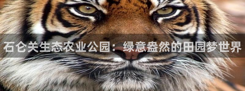 琳琅娱乐社区
