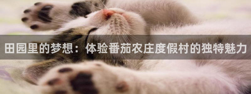 琳琅娱乐百科