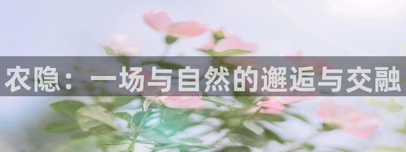 琳琅娱乐直播