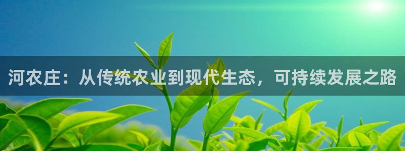 qq飞车琳琅娱乐组
