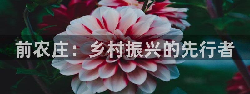 琳琅科技娱乐机器