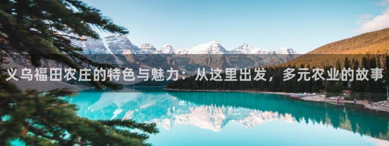 琳琅娱乐机器人