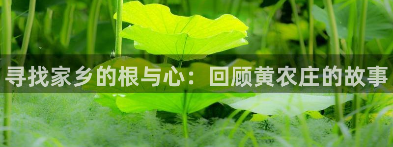琳琅AV娱乐