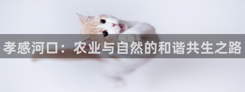 琳琅科技娱乐机器人教程