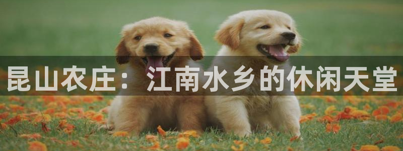 琳琅娱乐平台帐7O777