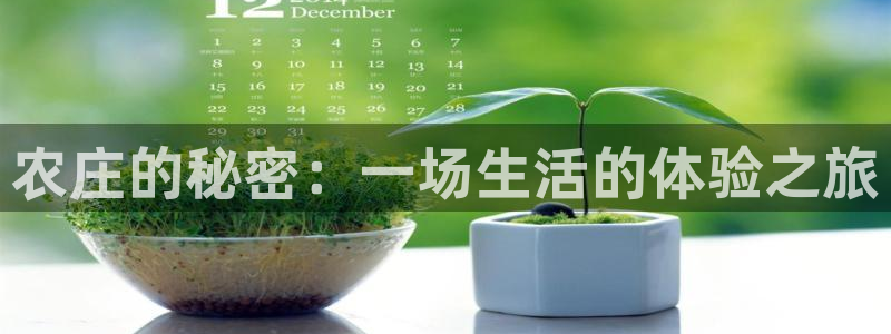 琳琅娱乐工作室地址查询