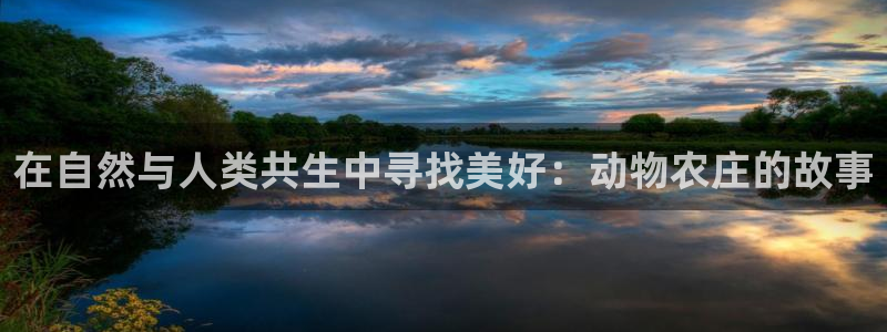 琳琅娱乐组飞车