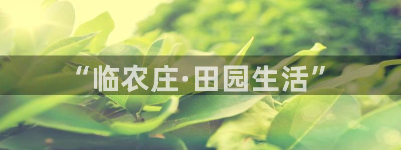 琳琅娱乐 全麦优质
