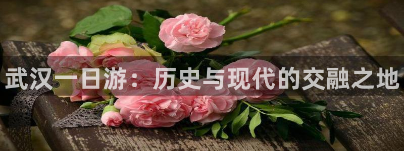 娱乐从琳琅榜开始的小说