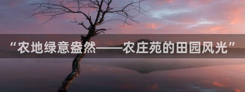 琳琅娱乐工作室怎么样