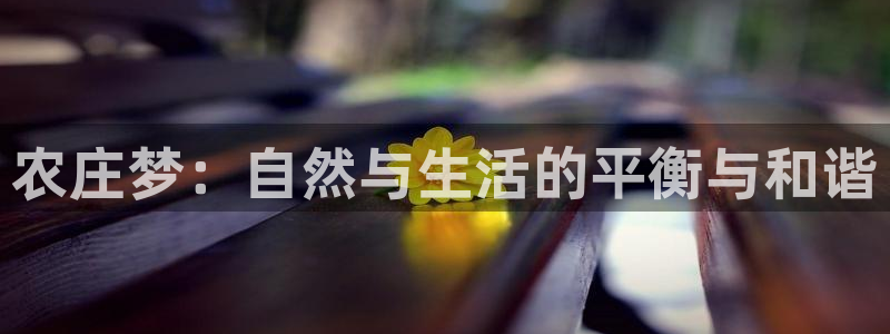 琳琅科技娱乐