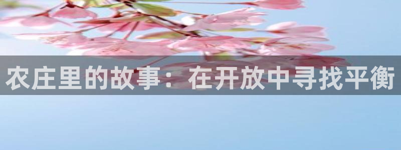 琳琅娱乐是什么