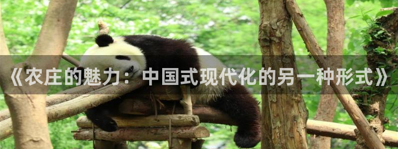 琳琅国际娱乐会所