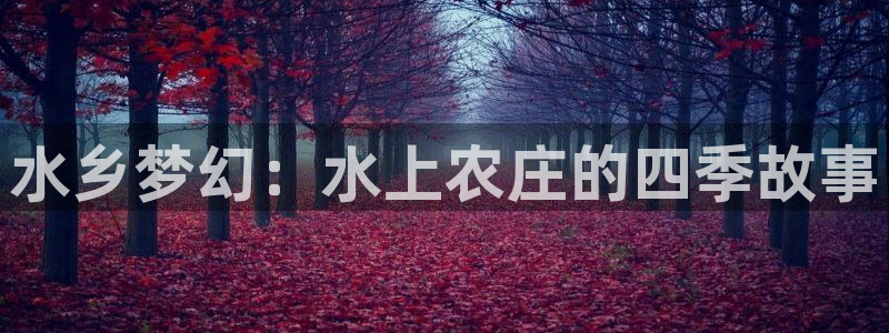 琳琅娱乐代理怎么做