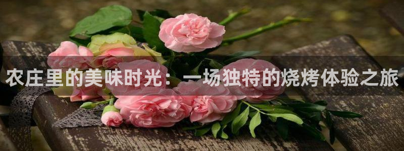 琳琅娱乐代理怎么样