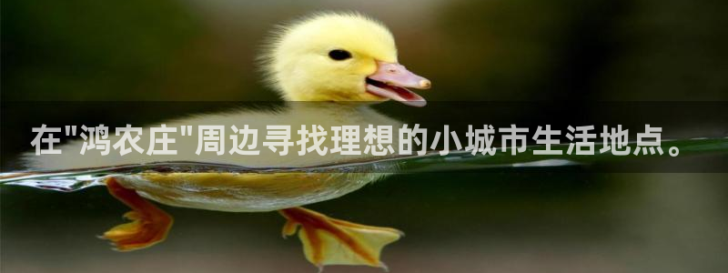 琳琅娱乐工作室