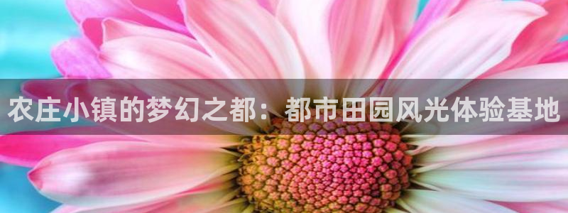 青娱娱乐琳琅导航