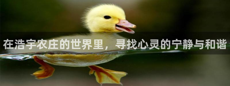 琳琅游戏娱乐