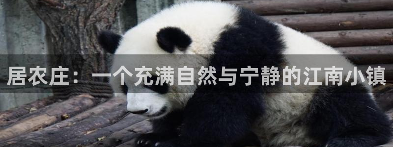 琳琅娱乐总代