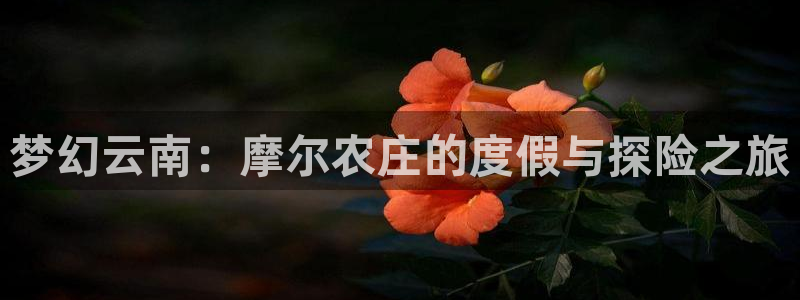 琳琅娱乐代理怎么做的