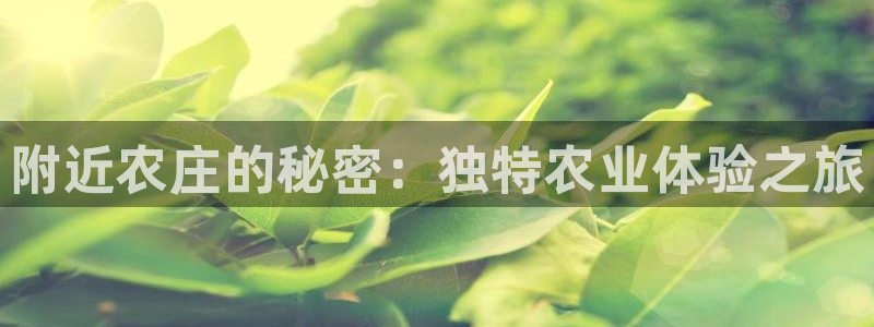 琳琅娱乐代理怎么样