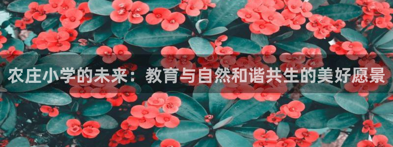 琳琅科技娱乐机器人