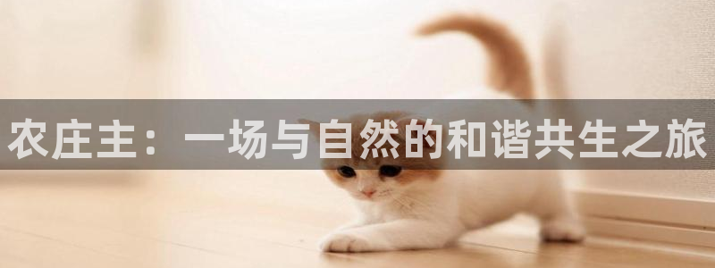 琳琅作者娱乐圈女主