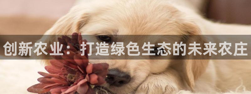 琳琅娱乐登入官网