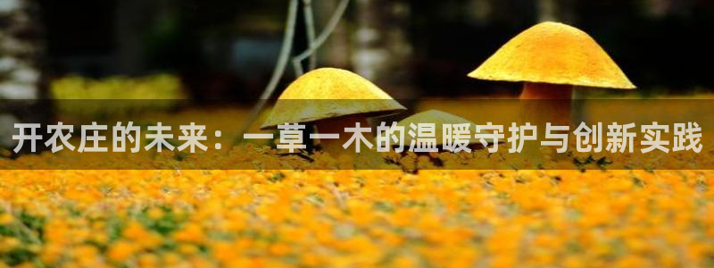 琳琅娱乐免费线上观看