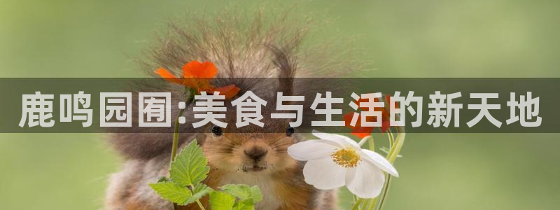 琳琅娱乐导航