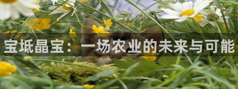 琳琅娱乐平台