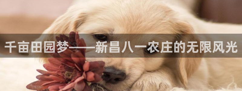 琳琅娱乐前7O777