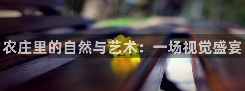 琳琅娱乐工作室怎么样啊