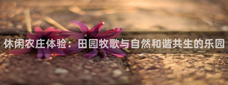 琳琅娱乐平台怎么样啊