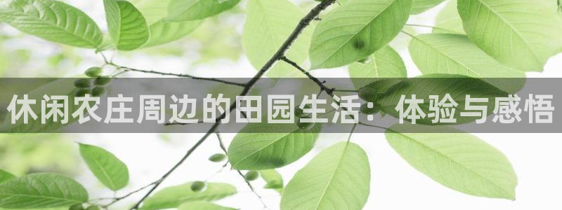 琳琅国际娱乐会所