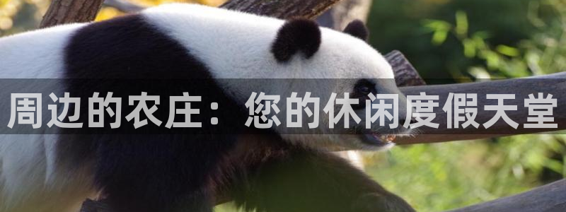 琳琅娱乐平台是真的吗