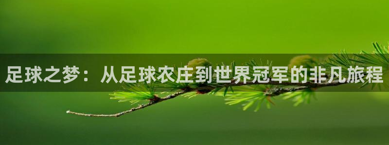 琳琅娱乐代理怎么做