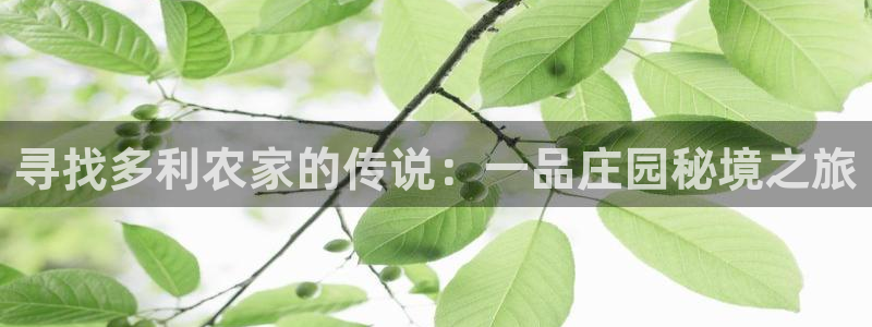 琳琅偏爱娱乐