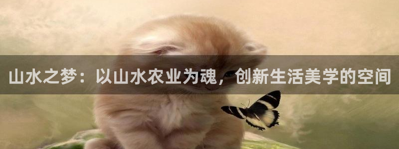 娱乐从琳琅榜开始笔趣阁
