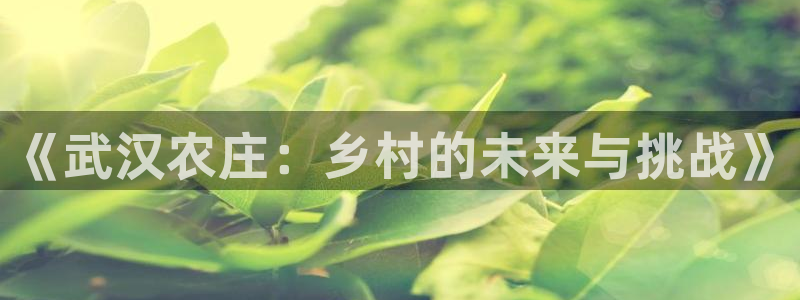 琳琅娱乐注册登录官网