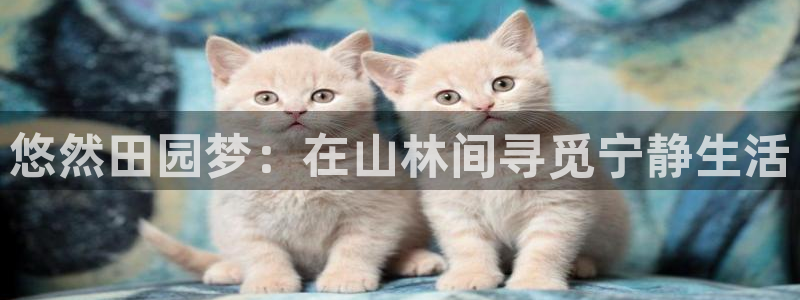琳琅社区综艺文化娱乐