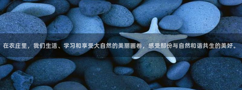 琳琅娱乐是什么