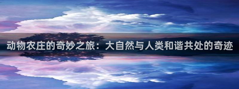 琳琅娱乐足球