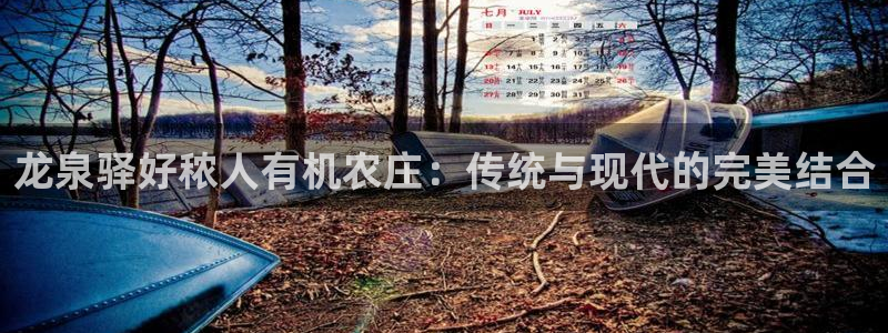 琳琅娱乐在哪直播