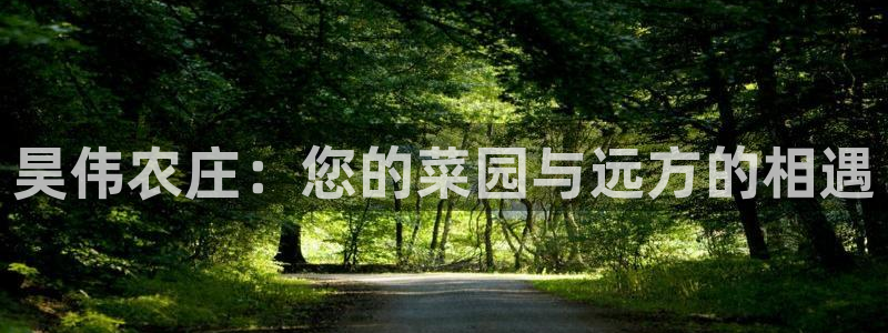 娱乐从琳琅榜开始的小说