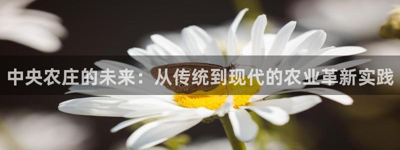 琳琅娱乐平台怎么样啊