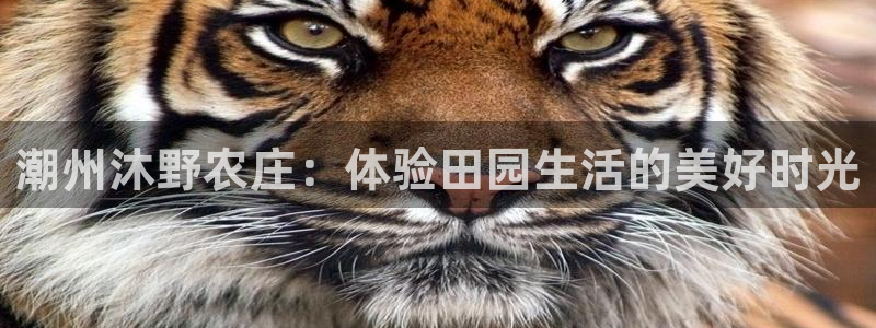 琳琅娱乐APP下载