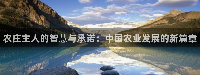 琳琅娱乐 全麦优质